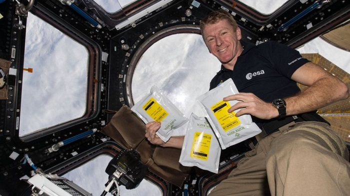 Tim Peake schools seed experiment results released